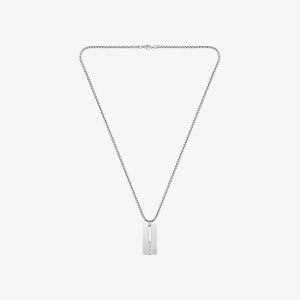 Lacoste Adventurer Necklace Silver | KWY-615374