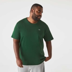 Lacoste Big Fit Crew Neck Cotton Jersey T-Shirt Green | OIN-736051