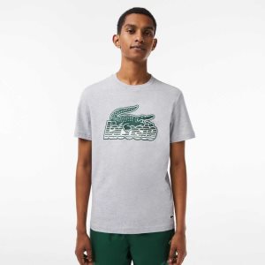 Lacoste Cotton Jersey Print T-Shirt Grey Chine | GXI-619524