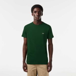 Lacoste Crew Neck Pima Cotton Jersey T-Shirt Green | ITF-739610