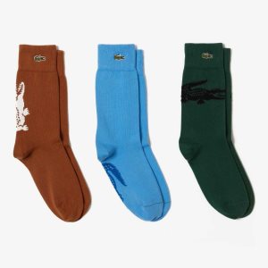 Lacoste Crocodile Pattern Sock Three-Pack Brown / White / Green / Black / Blue | LNZ-751269