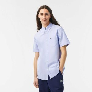 Lacoste Regular Fit Oxford Cotton Shirt Blue | XUB-952841