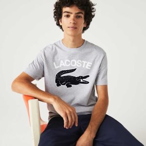 Lacoste Regular Fit XL Crocodile Print T-Shirt Grey Chine | WBX-920341