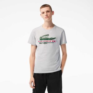 Lacoste SPORT Regular Fit Organic Cotton T-Shirt Grey Chine | ORS-892574