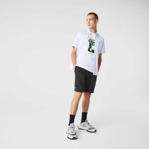 Lacoste SPORT Tennis Fleece Shorts Grey | EAL-719203