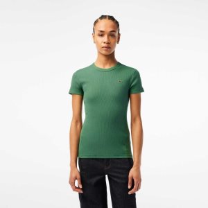 Lacoste Slim Fit Organic Cotton T-Shirt Khaki Green | BKW-724093