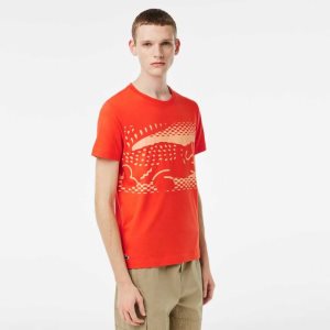 Lacoste Tennis x Novak Djokovic T-Shirt Orange | BID-340765