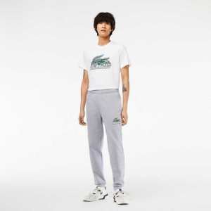 Lacoste Unbrushed Fleece Track Pants Grey Chine | DZN-574380