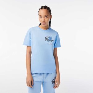 Lacoste x Netflix Organic Cotton Jersey T-Shirt Blue | JXP-195780