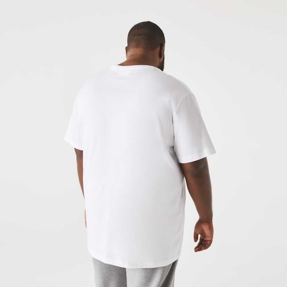 Lacoste Big Fit Crew Neck Cotton Jersey T-Shirt White | ASV-816245