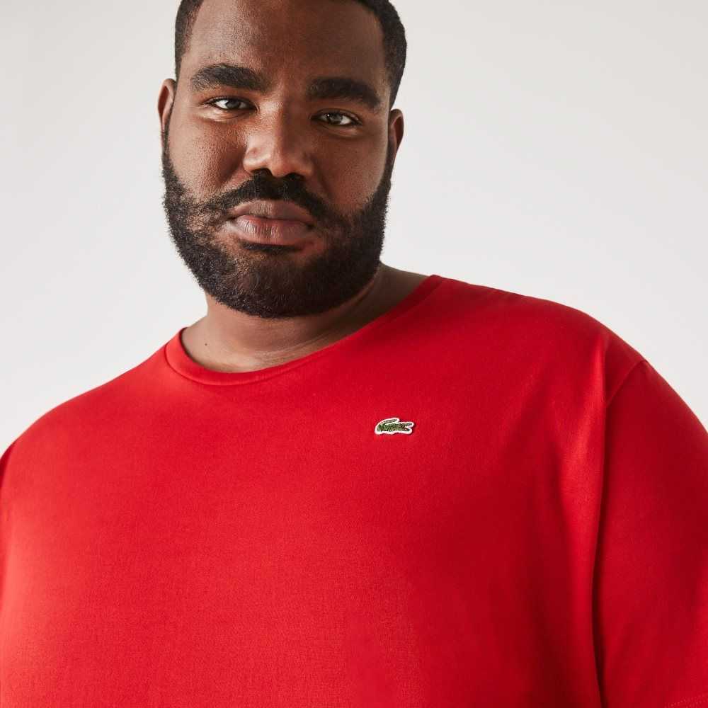 Lacoste Big Fit Crew Neck Cotton Jersey T-Shirt Red | JTV-203769