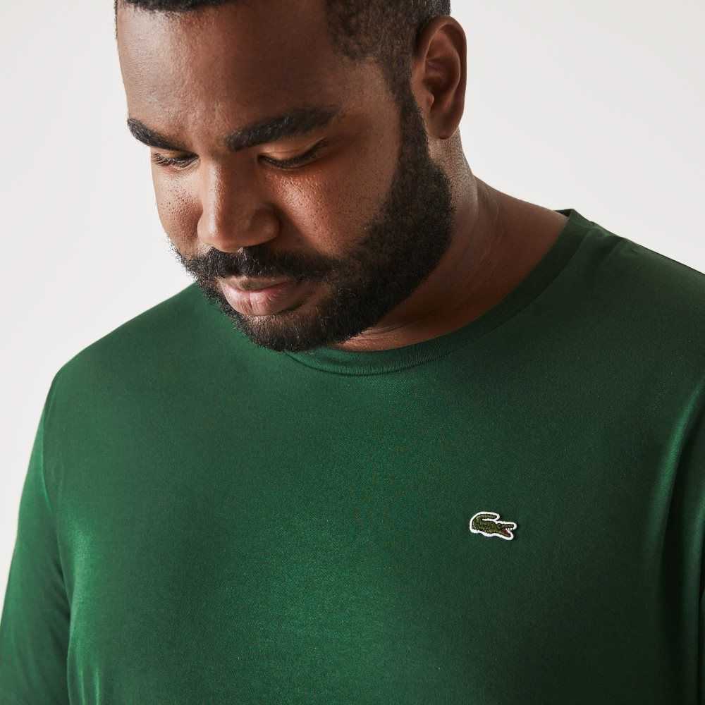 Lacoste Big Fit Crew Neck Cotton Jersey T-Shirt Green | OIN-736051