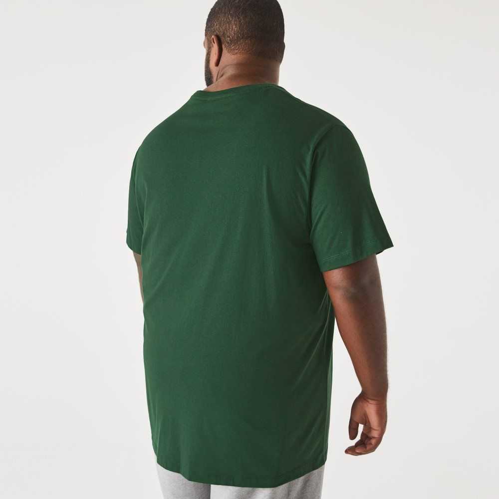 Lacoste Big Fit Crew Neck Cotton Jersey T-Shirt Green | OIN-736051