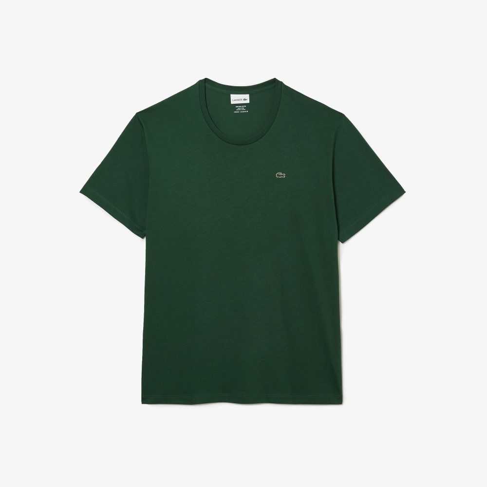 Lacoste Big Fit Crew Neck Cotton Jersey T-Shirt Green | OIN-736051