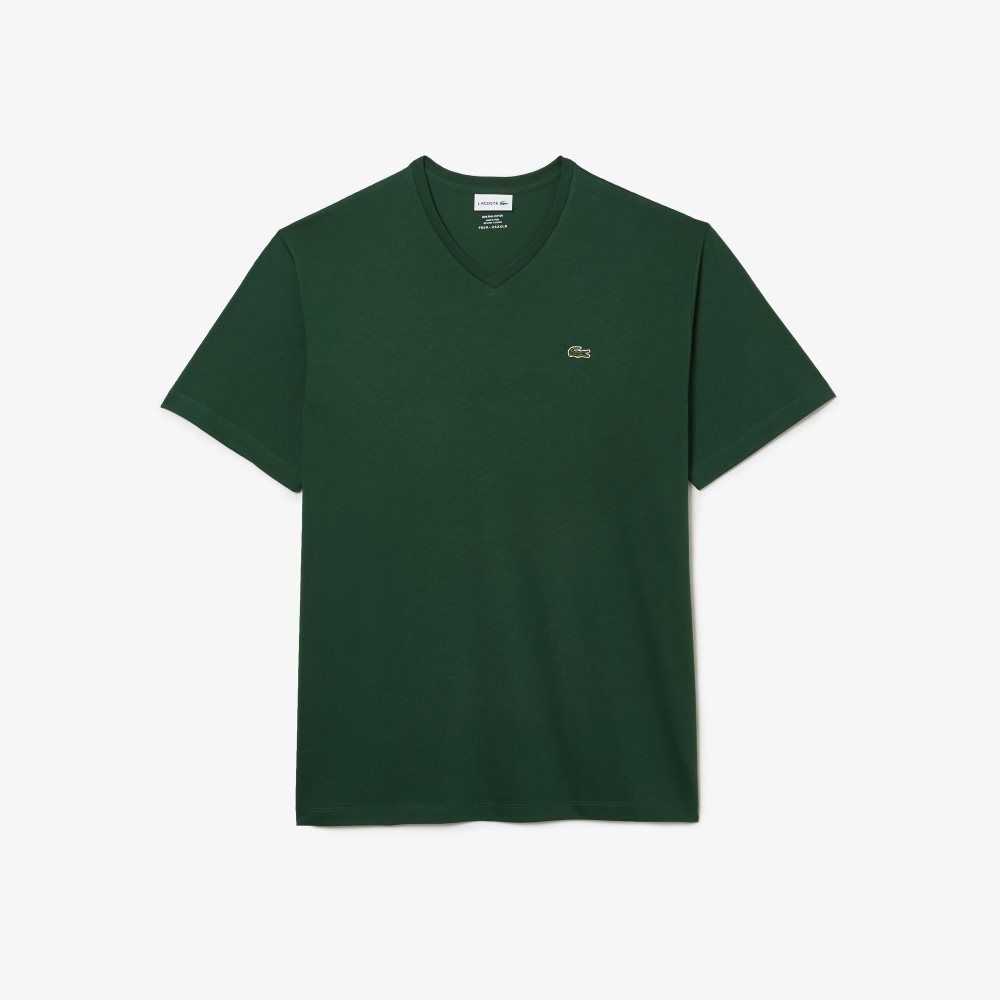 Lacoste Big Fit V-Neck Jersey T-Shirt Green | TOL-362984