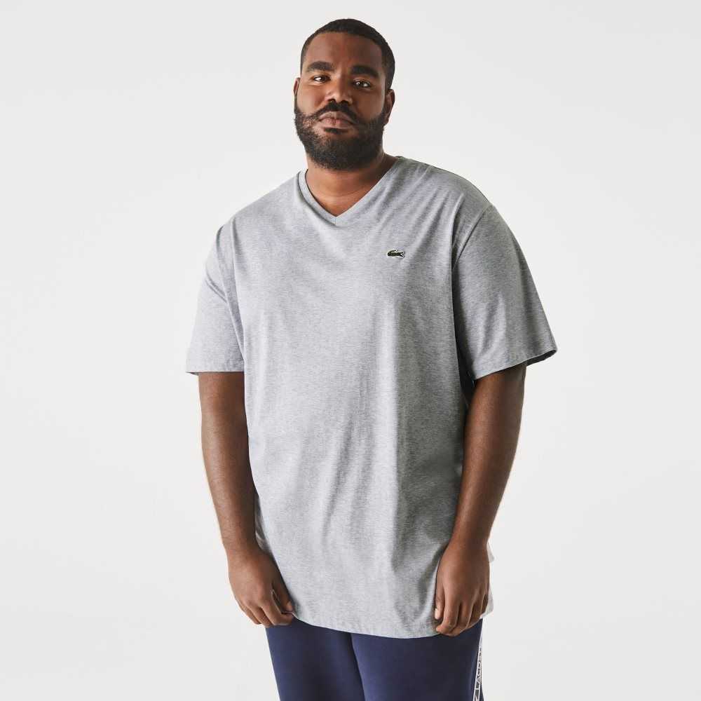 Lacoste Big Fit V-Neck Jersey T-Shirt Grey Chine | XHV-932180