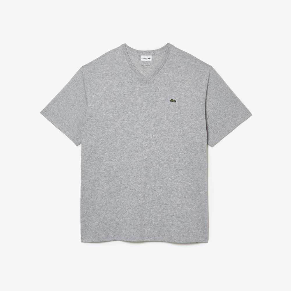 Lacoste Big Fit V-Neck Jersey T-Shirt Grey Chine | XHV-932180