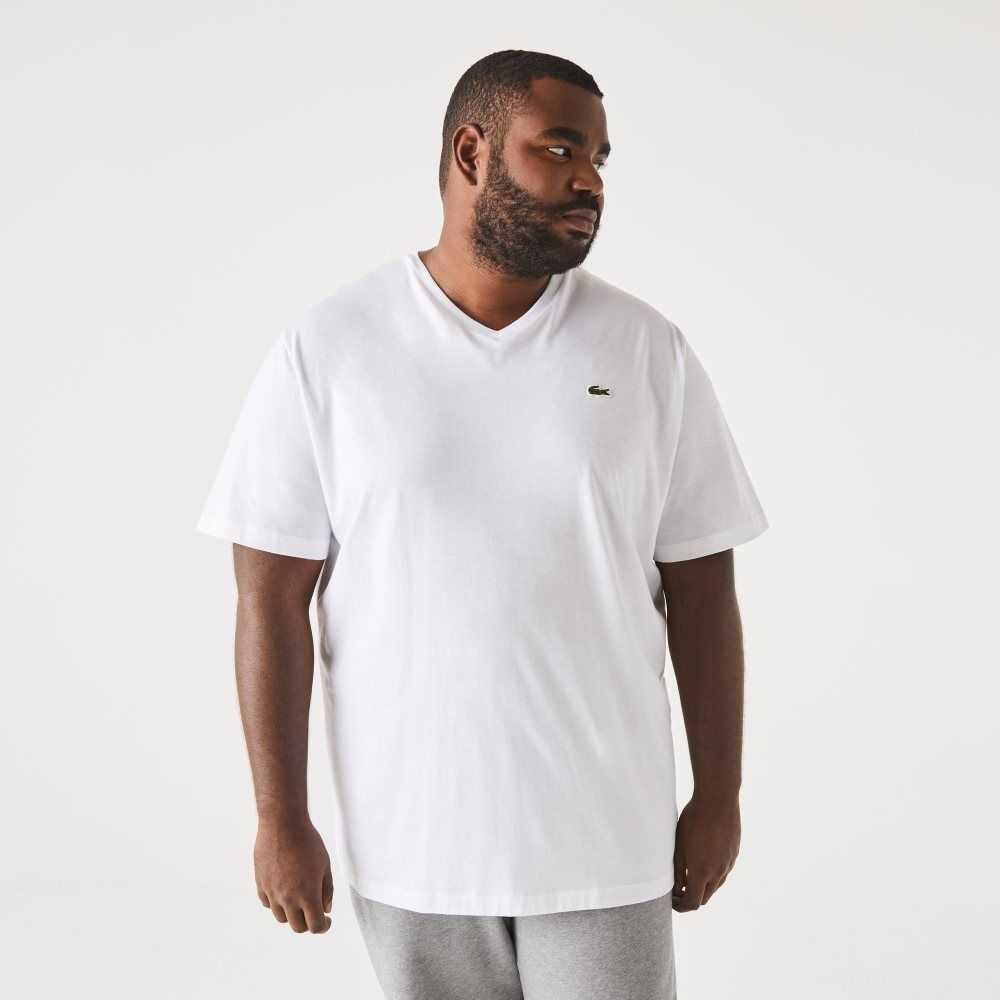 Lacoste Big Fit V-Neck Jersey T-Shirt White | PYA-532718