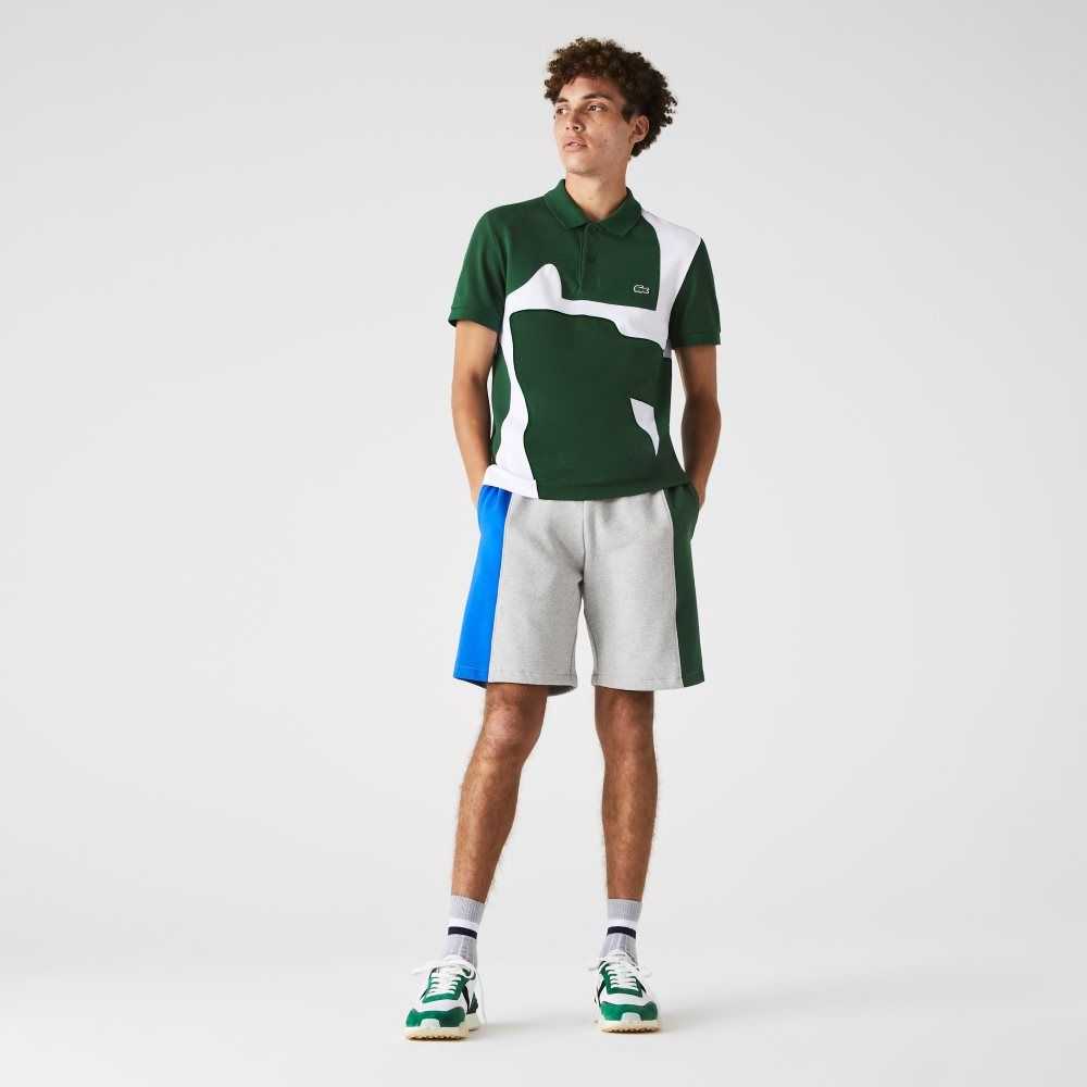 Lacoste Branded Cotton Fleece Blend Shorts Grey Chine / Blue / Green | TNA-765281