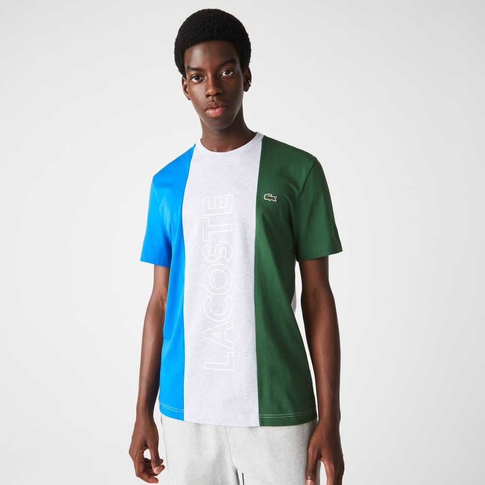 Lacoste Branded Crew Neck Cotton T-Shirt Grey Chine / Blue / Green | WPJ-491028