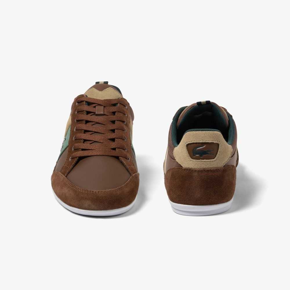 Lacoste Chaymon Leather Sneakers Dk Brw/Dk Grn | TEP-756139