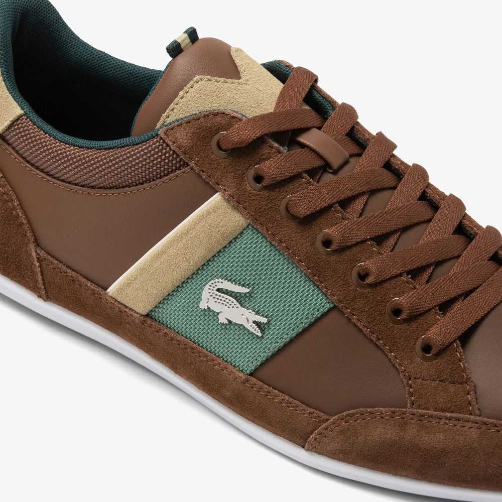 Lacoste Chaymon Leather Sneakers Dk Brw/Dk Grn | TEP-756139