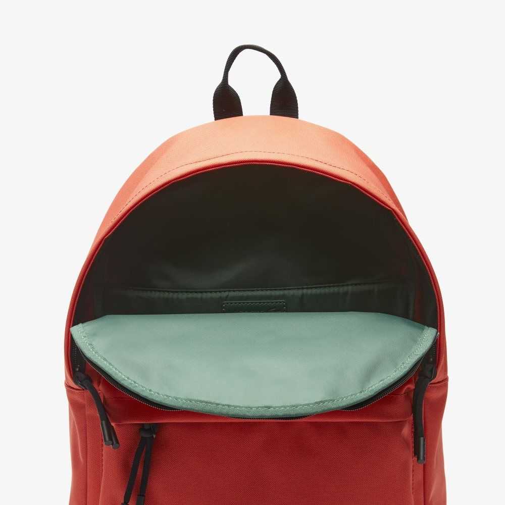 Lacoste Computer Compartment Backpack Pasteque | DST-961782