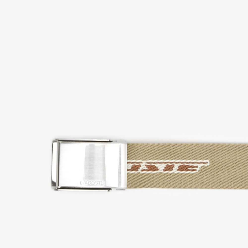 Lacoste Contrast Logo Print Belt Lion Pecan Farine | SXR-190682