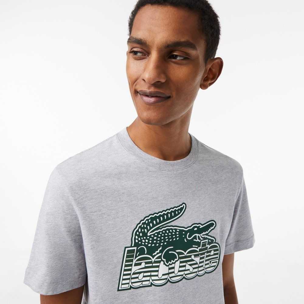 Lacoste Cotton Jersey Print T-Shirt Grey Chine | GXI-619524