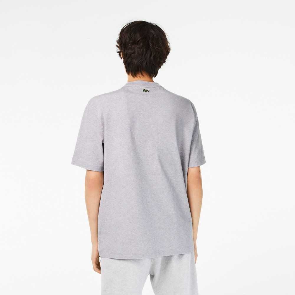 Lacoste Crew Neck Loose Fit Crocodile Print T-Shirt Grey Chine | TPN-705842