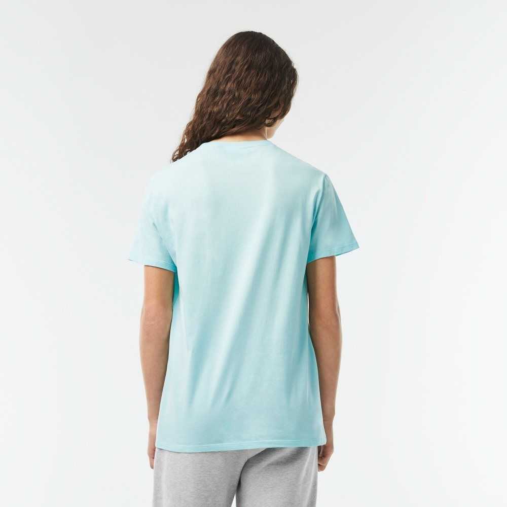 Lacoste Crew Neck Pima Cotton Jersey T-Shirt Mint | JTE-134768