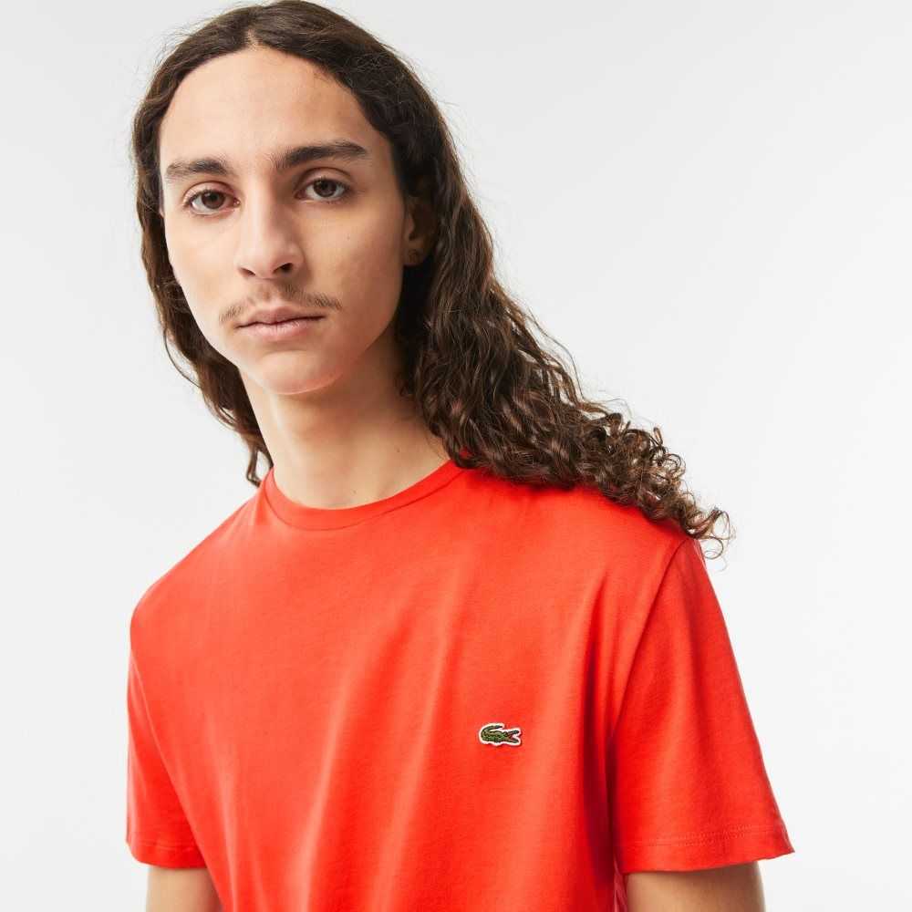 Lacoste Crew Neck Pima Cotton Jersey T-Shirt Orange | RLT-052798