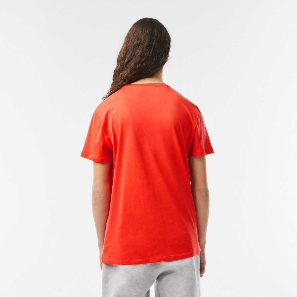 Lacoste Crew Neck Pima Cotton Jersey T-Shirt Orange | RLT-052798