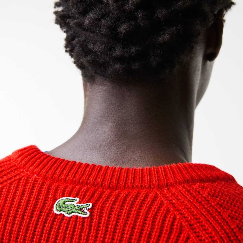 Lacoste Crocodile Sweater Red | BYR-468071