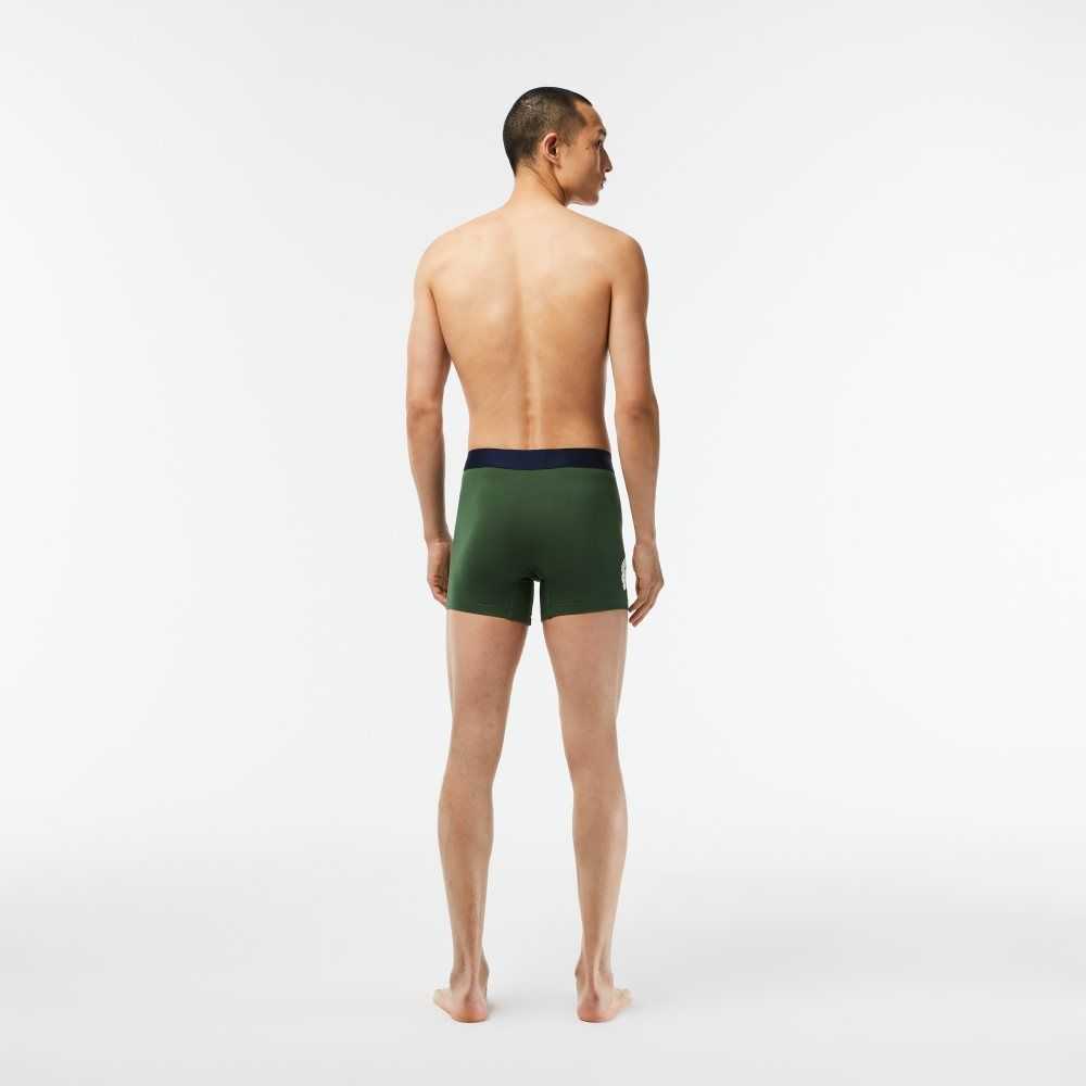 Lacoste Crocodile Waist Long Stretch Cotton Boxer Brief 3-Pack Green / Navy Blue / White | VGP-954671