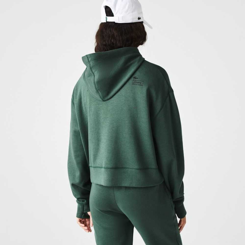 Lacoste Hooded Sweatshirt Green | DSM-268539