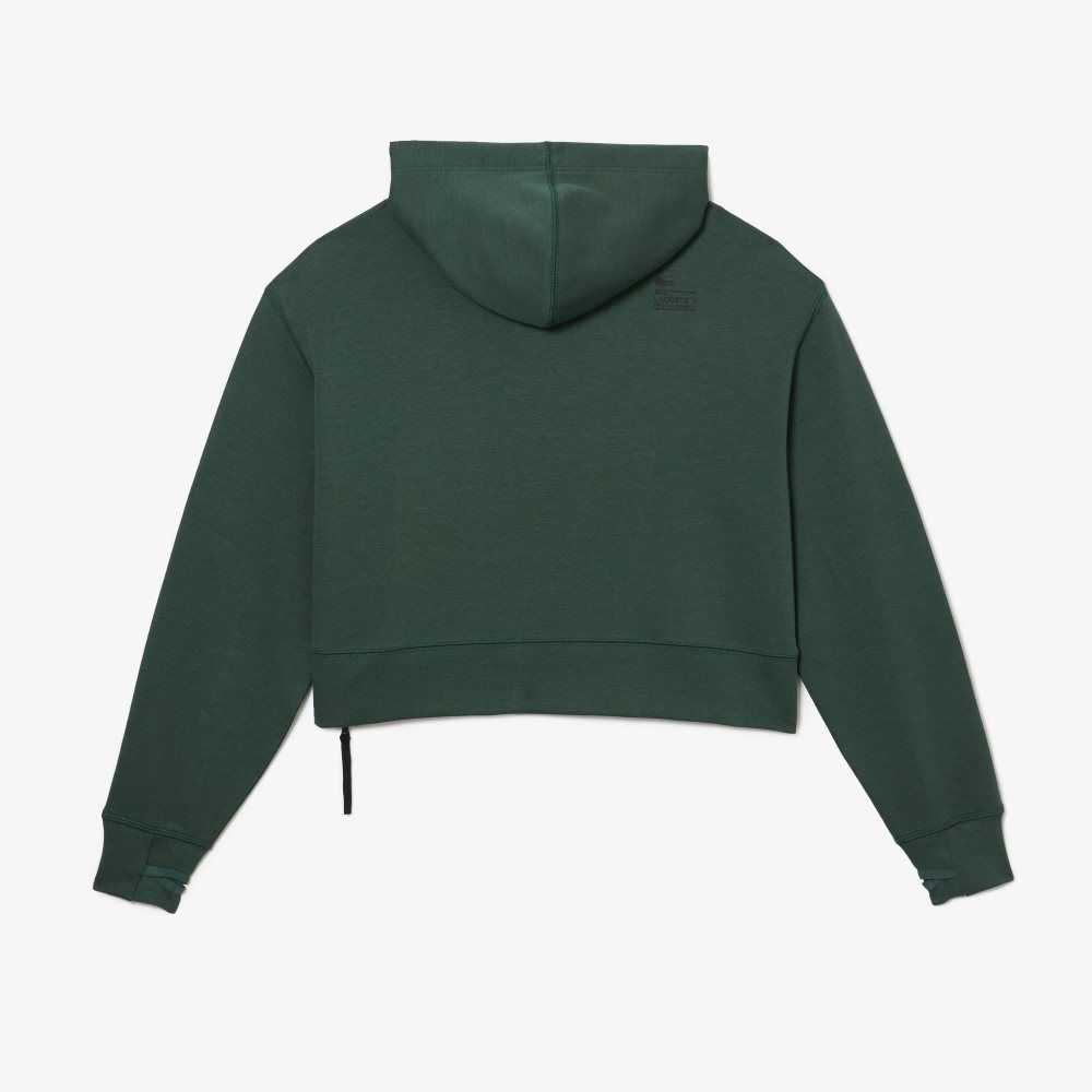 Lacoste Hooded Sweatshirt Green | DSM-268539