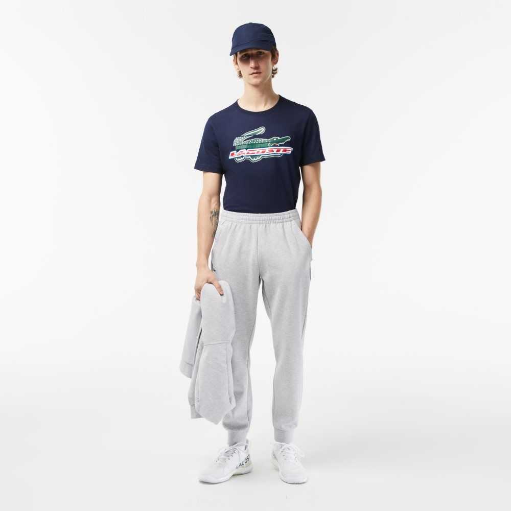 Lacoste Mesh Panels Trackpants Grey Chine / Light Grey | FRK-801347