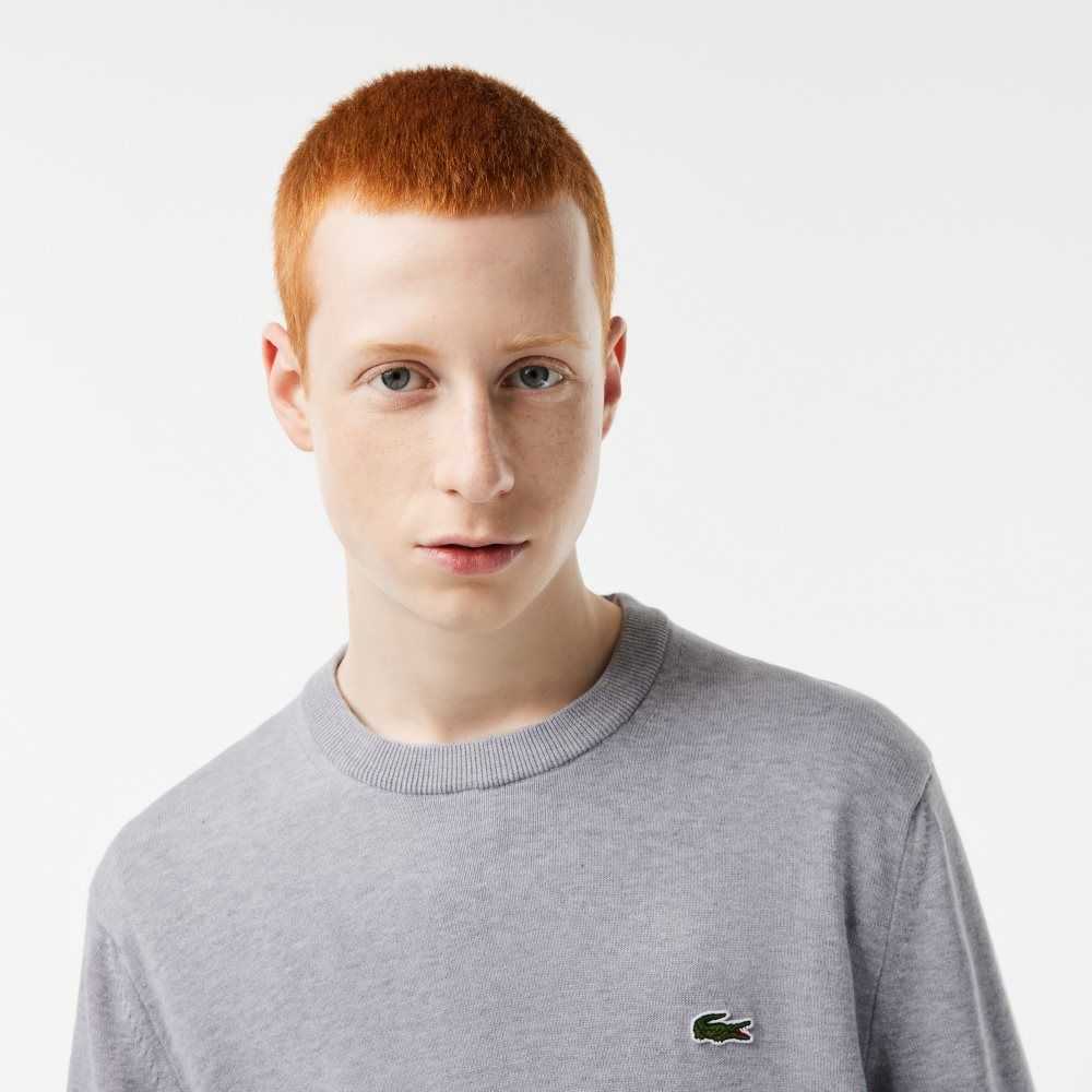 Lacoste Organic Cotton Crew Neck Sweater Grey Chine | OLJ-154378