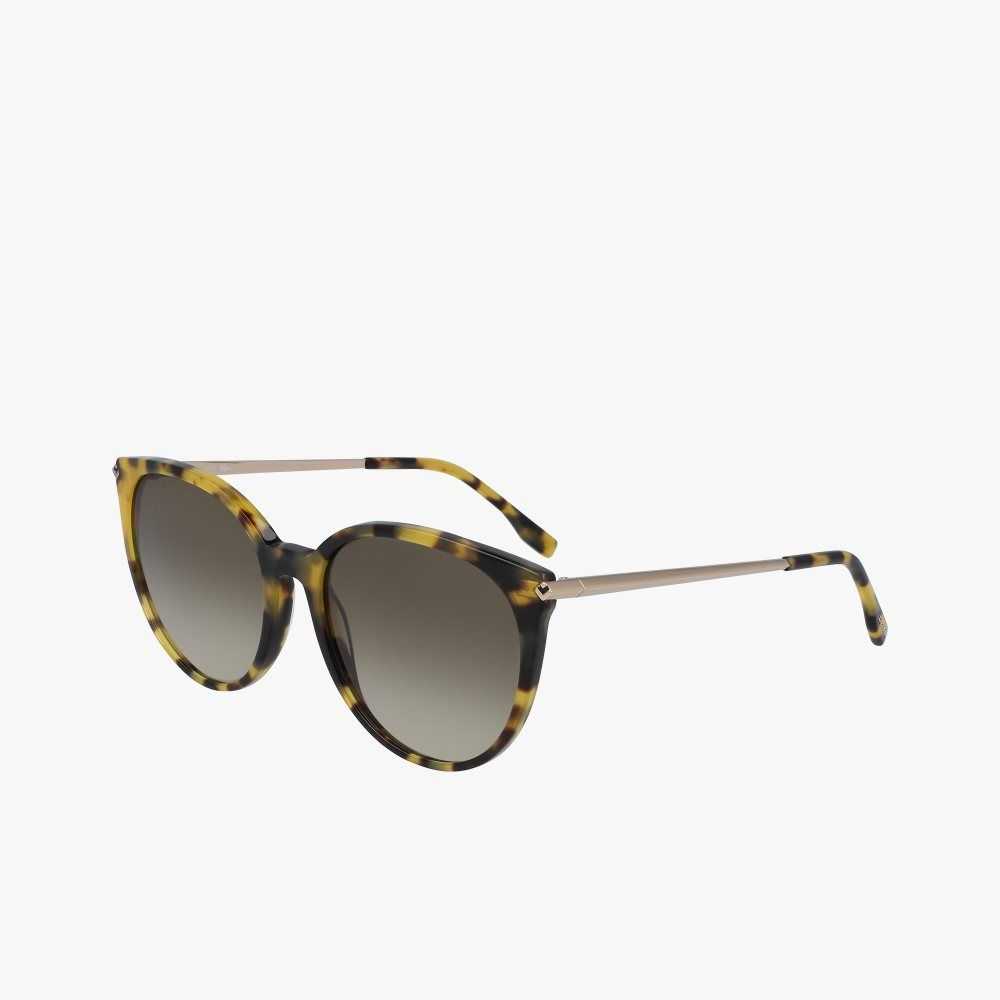 Lacoste Oval Acetate La Piquee Sunglasses Havana Brn | TWP-860713