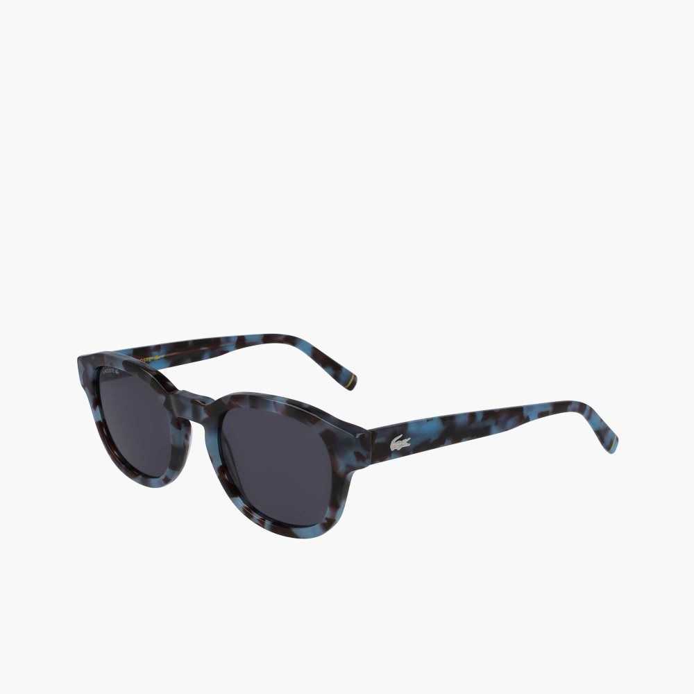 Lacoste Oval Bio Acetate National Geographic Sunglasses Havana/Bordeaux | PTD-637908