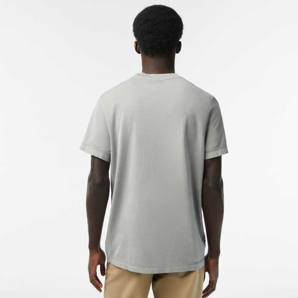 Lacoste Plain Organic Cotton T-Shirt Light Green | TEQ-976014