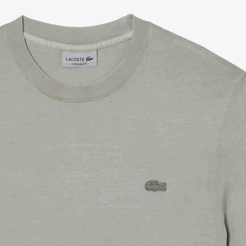 Lacoste Plain Organic Cotton T-Shirt Light Green | TEQ-976014