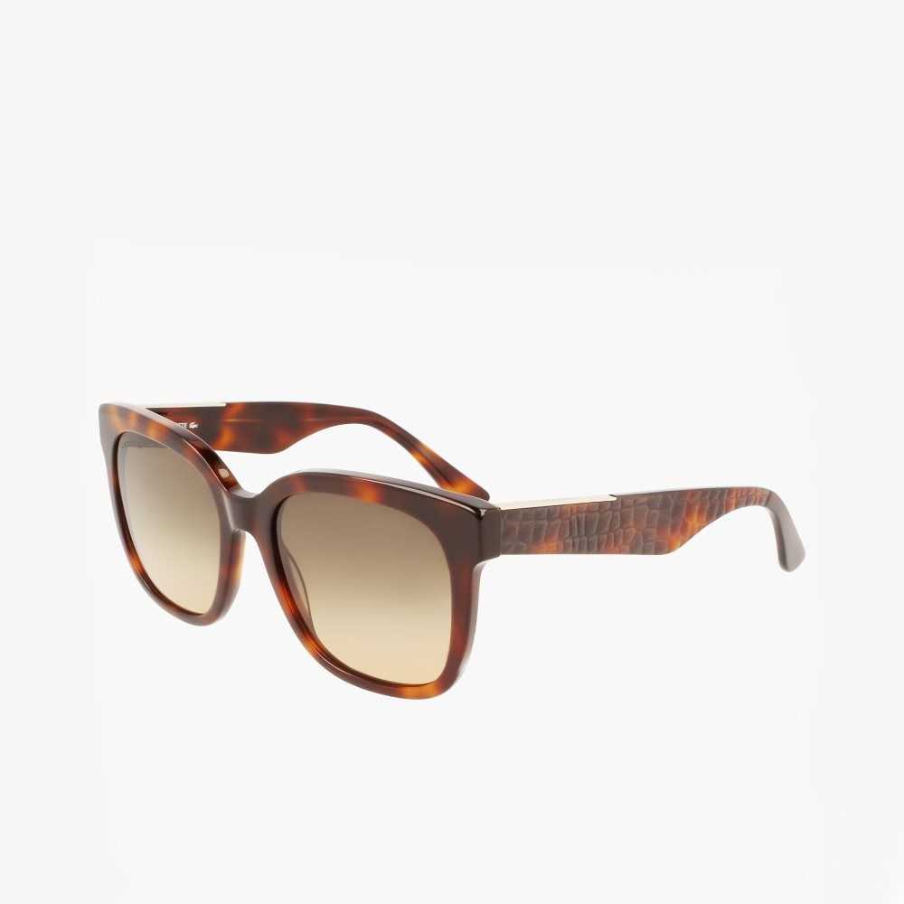 Lacoste Rectangle Acetate Croco Skin Sunglasses Matte Havana | JEP-130648