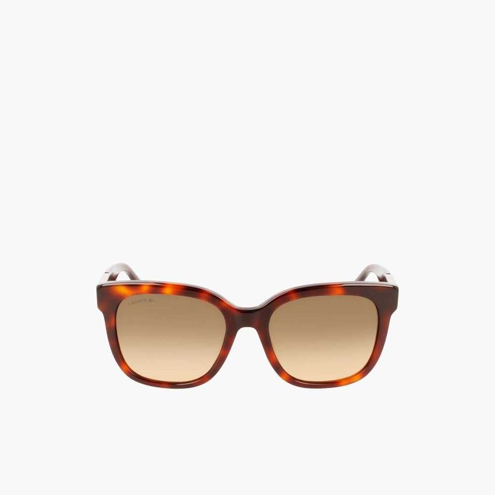 Lacoste Rectangle Acetate Croco Skin Sunglasses Matte Havana | JEP-130648