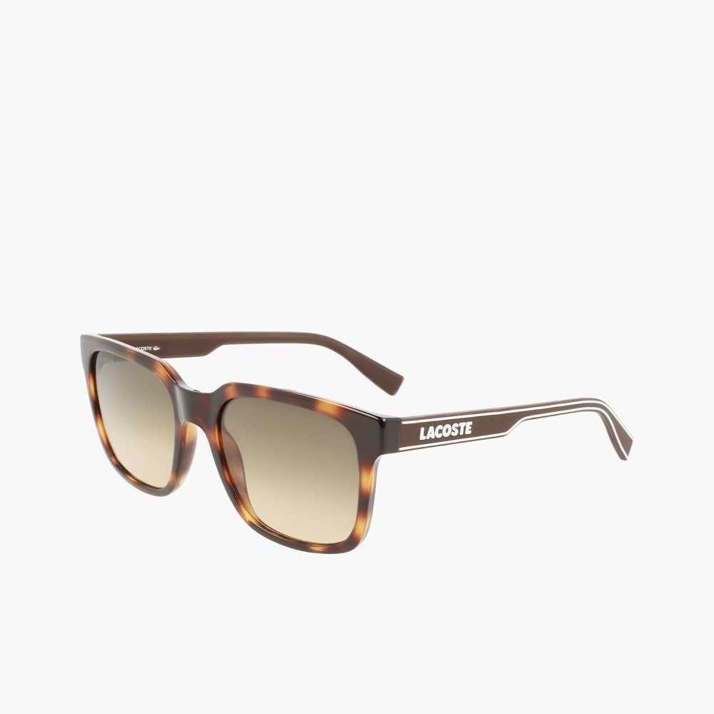 Lacoste Rectangle Active Line Sunglasses Matte Havana | ZVS-870429