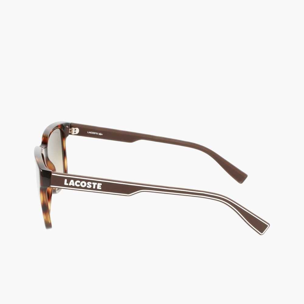 Lacoste Rectangle Active Line Sunglasses Matte Havana | ZVS-870429