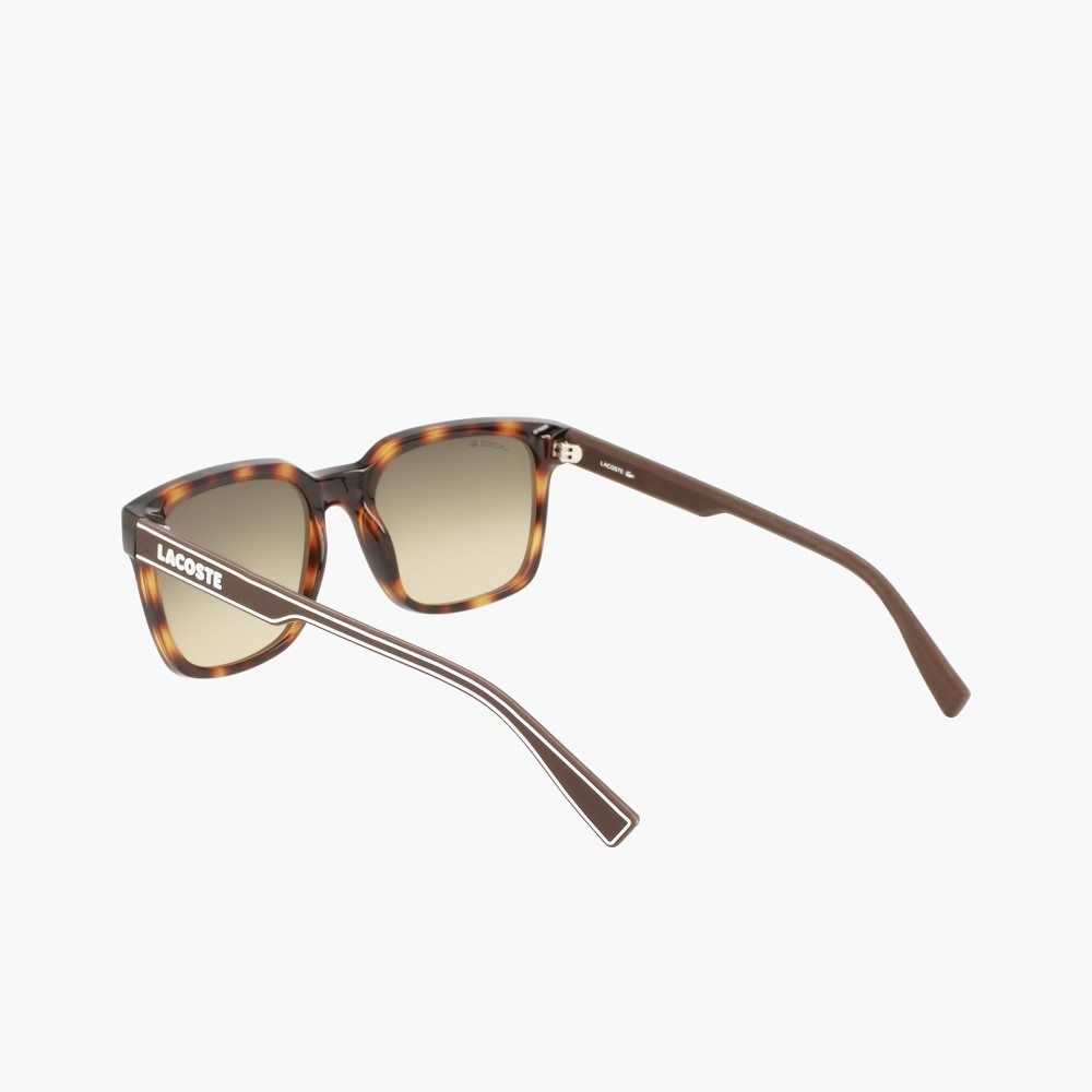 Lacoste Rectangle Active Line Sunglasses Matte Havana | ZVS-870429