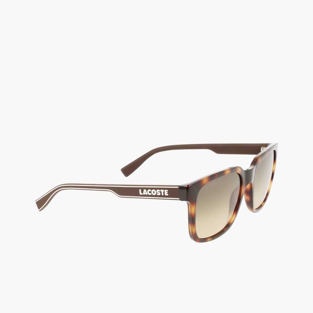 Lacoste Rectangle Active Line Sunglasses Matte Havana | ZVS-870429