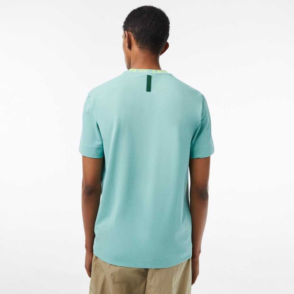 Lacoste Regular Fit Branded Collar T-Shirt Mint | AOG-869753